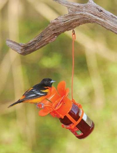 Jelly or Jam Oriole Feeder