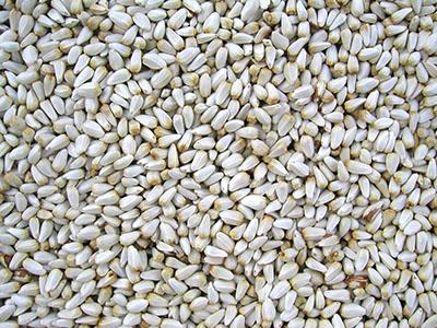 Safflower Seed 10lb