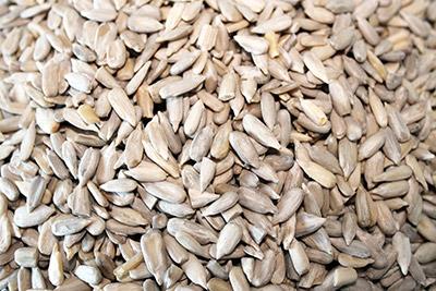 Sunflower Kernels 10lb