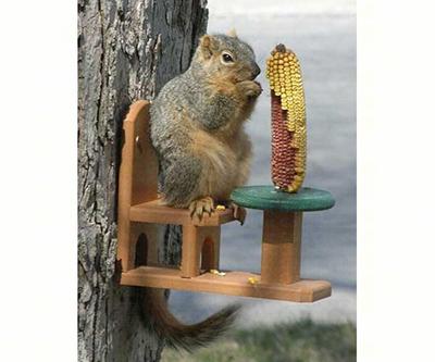 Squirrel Feeder Chair