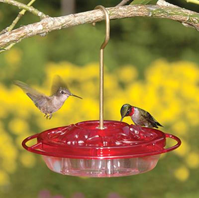 Little Fancy Hummingbird Feeder