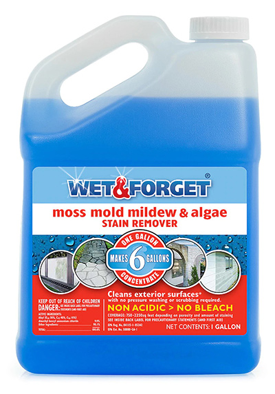 Wet & Forget&reg; Outdoor 1gal concentrate