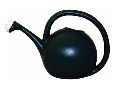 Watering Can Green 2 Gallon