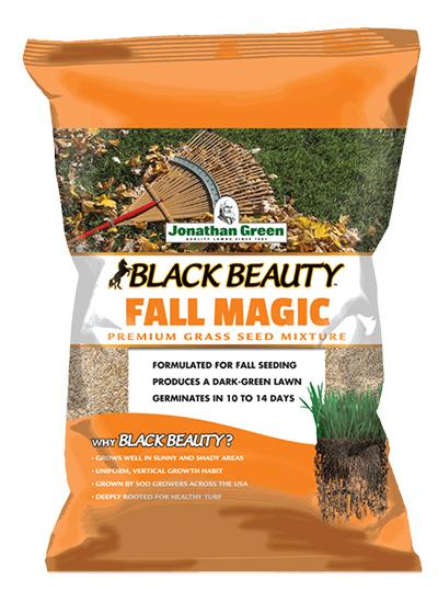 Black Beauty Fall Magic 3lb