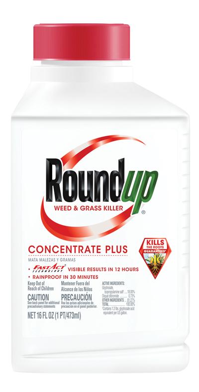 Roundup&reg; Weed & Grass Killer concentrate Plus 16oz