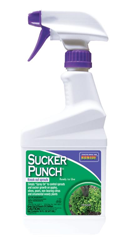 Sucker Punch&reg; 16oz RTU