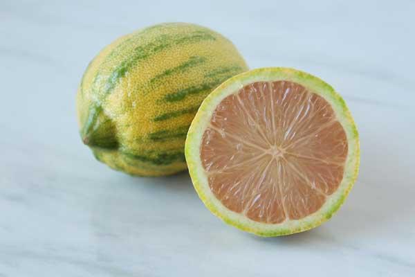 Citrus 'Eureka' Lemon 5 Gallon