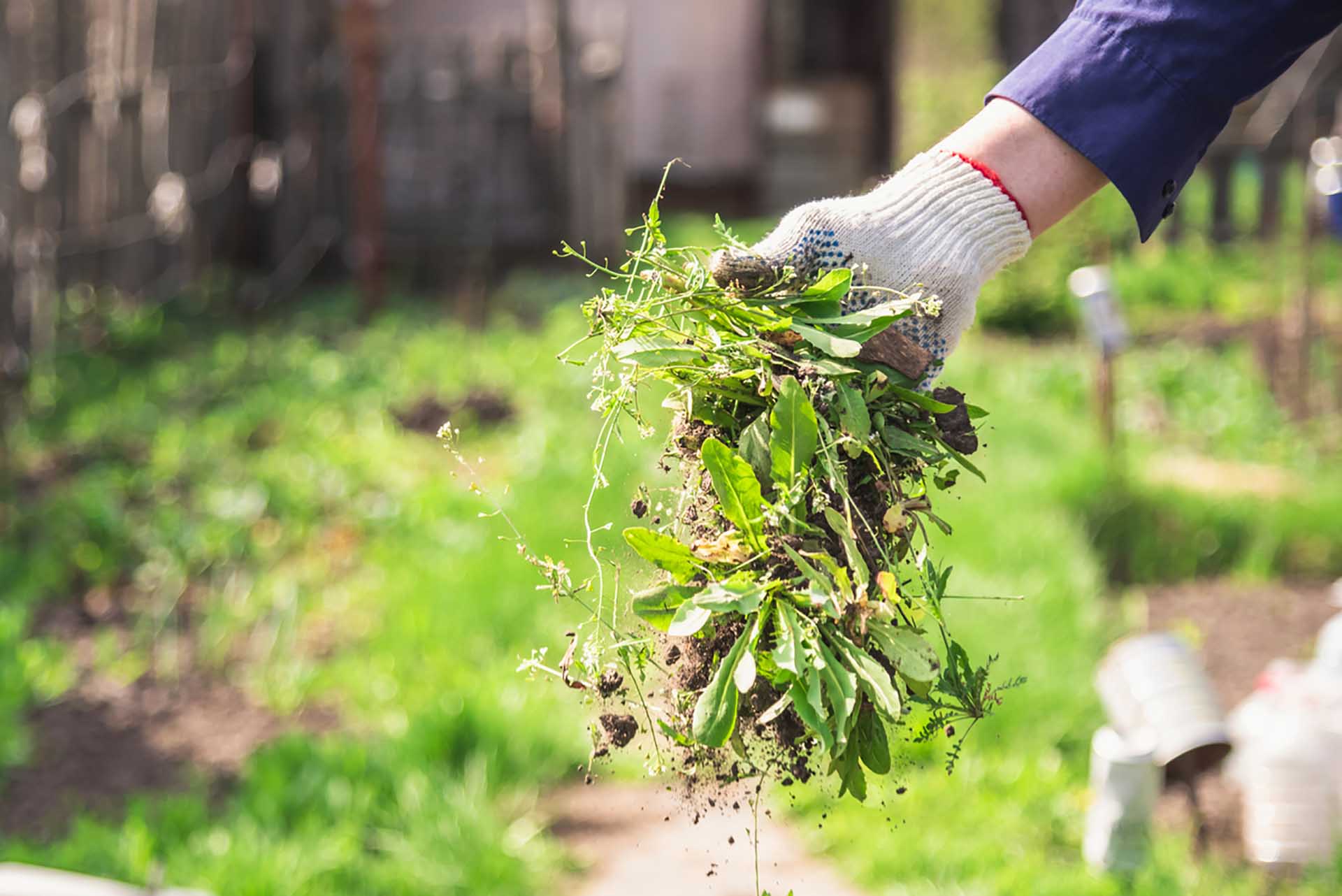 Weed Control