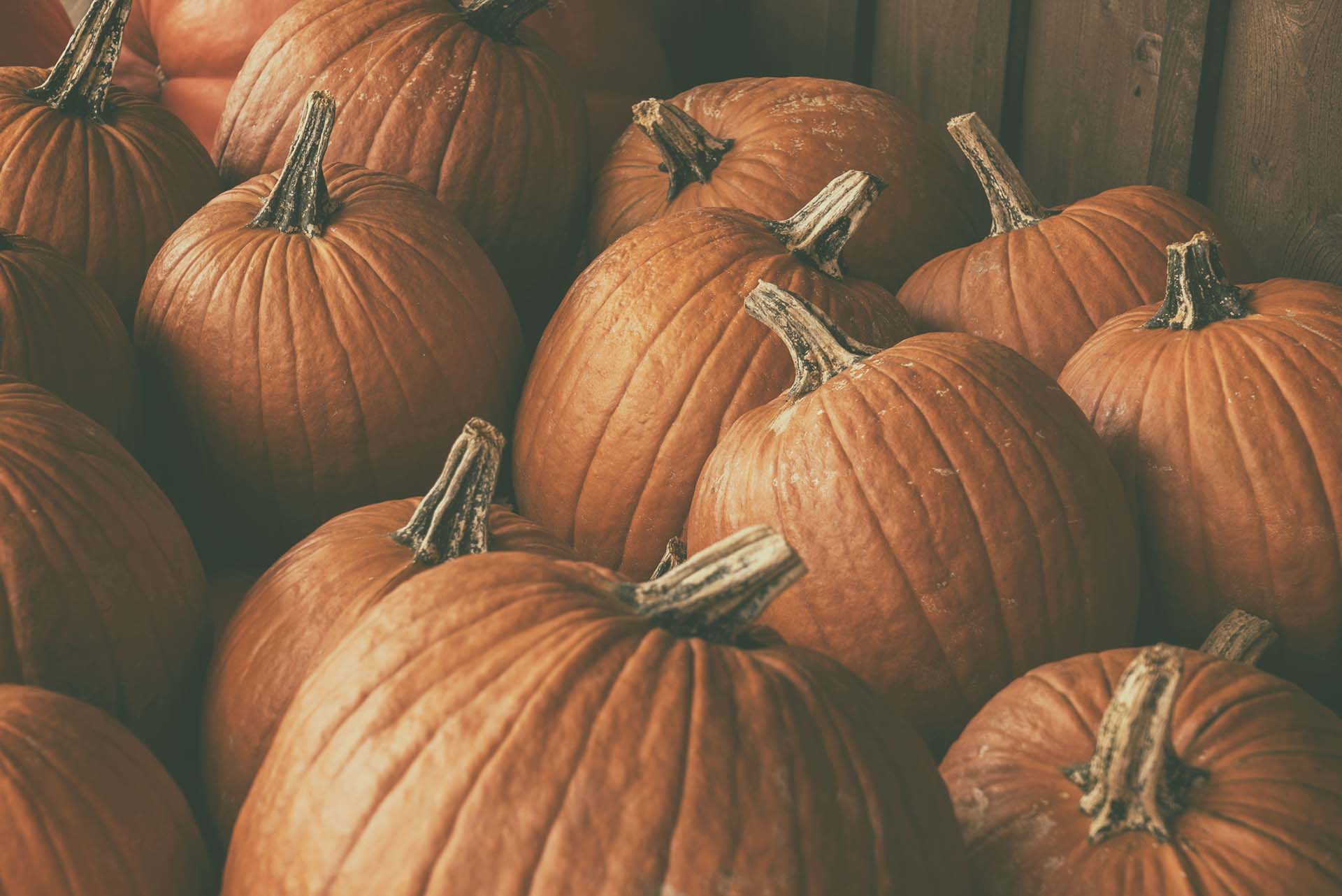 Pumpkins and Décor