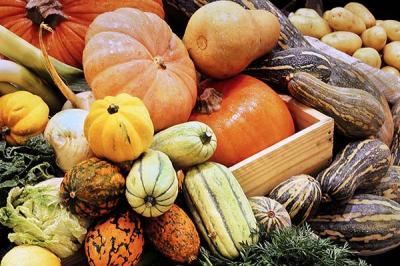 Specialty Pumpkin