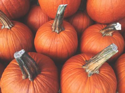Orange Pie Pumpkin