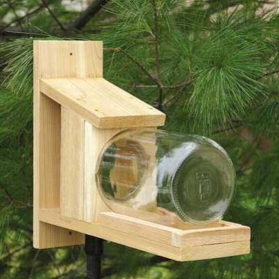 Squirrel Jar Feeder