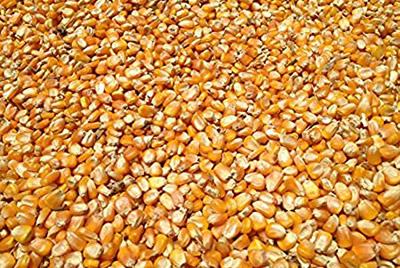 Whole Kernel Corn 50lb