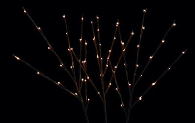 32" Warm White Twinkling LED Twig Branches S/3