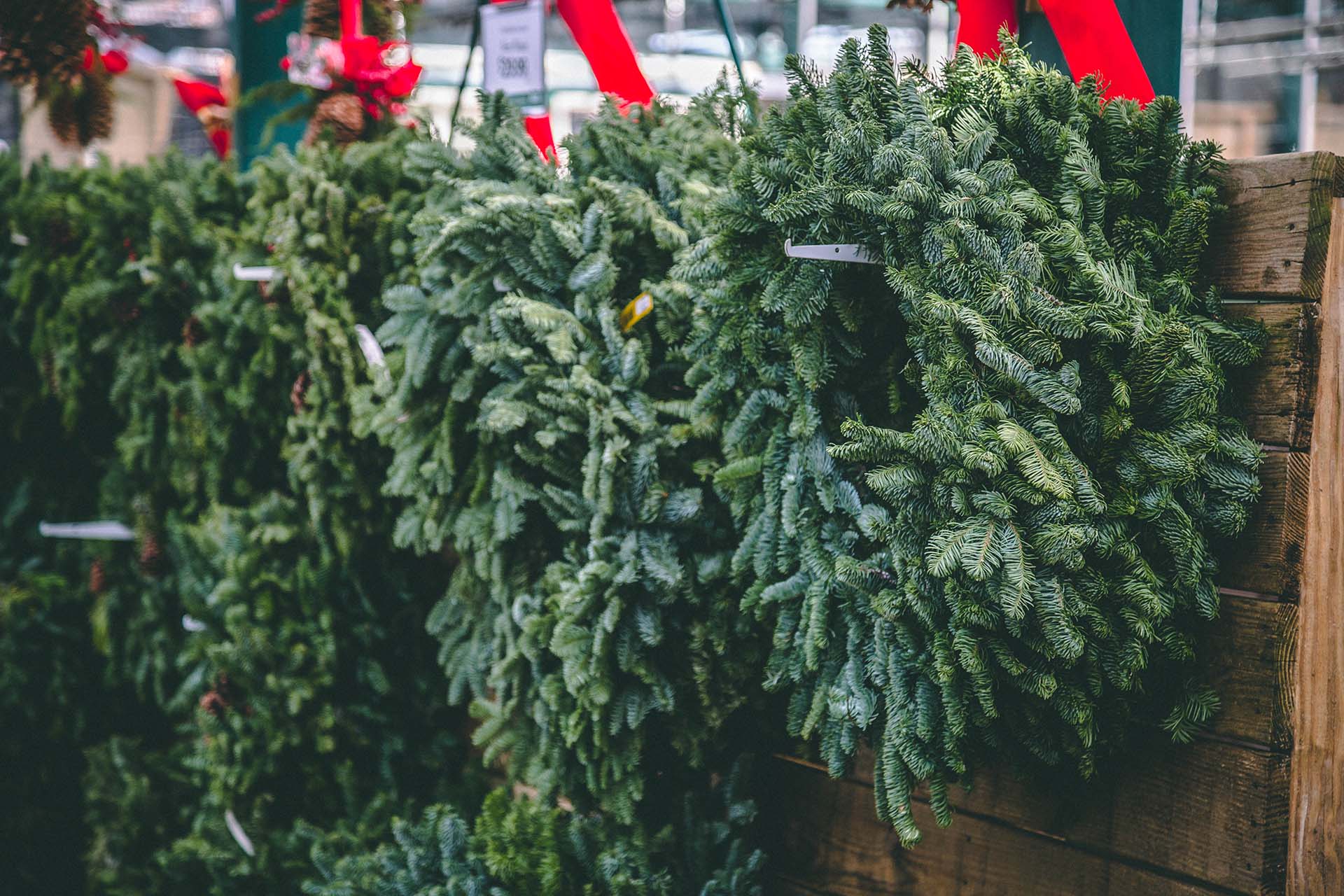 Fresh Wreaths