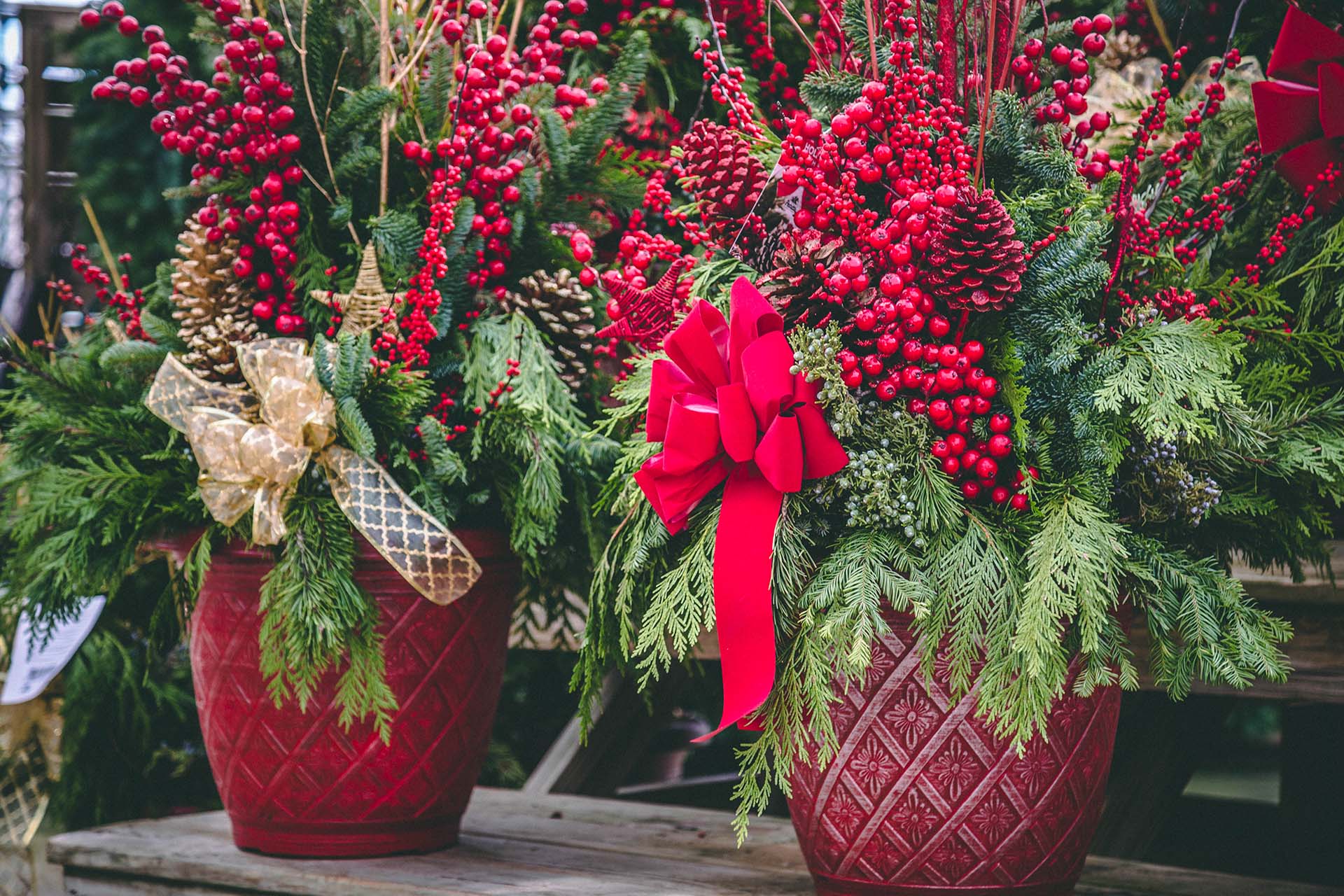 Winter Planters