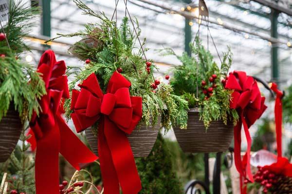 Winter Combo Hanging Basket