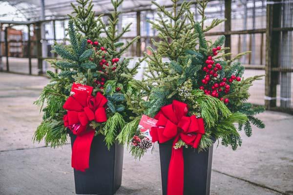 Winter Combo Small Square Planter