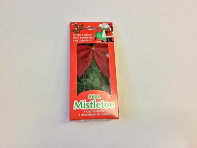 Mistletoe