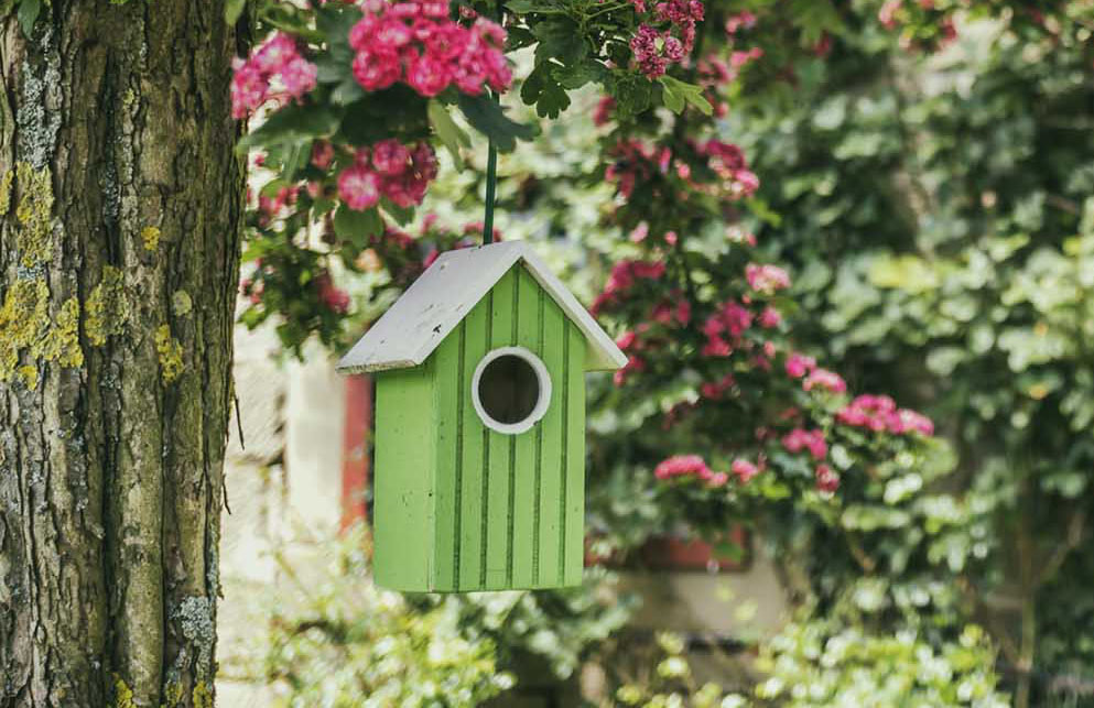 Bird Houses