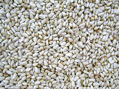 Safflower Seed 25lb