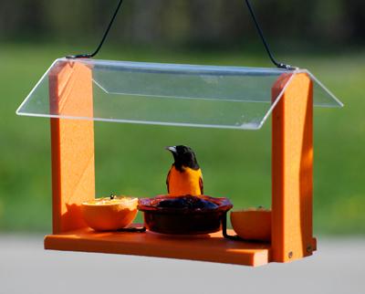 Going Green Oriole Feeder