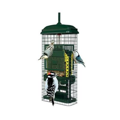 SquirrelBuster&reg; Suet