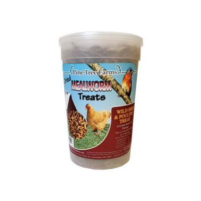 Mealworm Treats 8oz