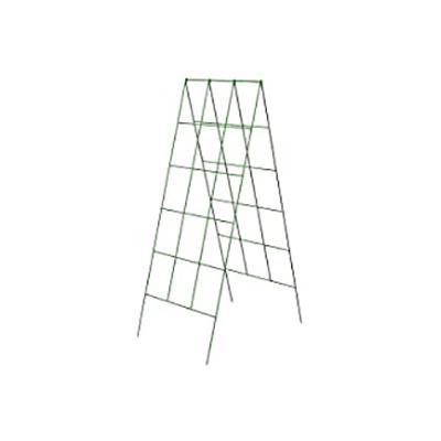 A Frame Trellis 36in x 24in