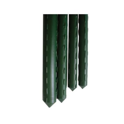 Coated Steel Stake 2ft