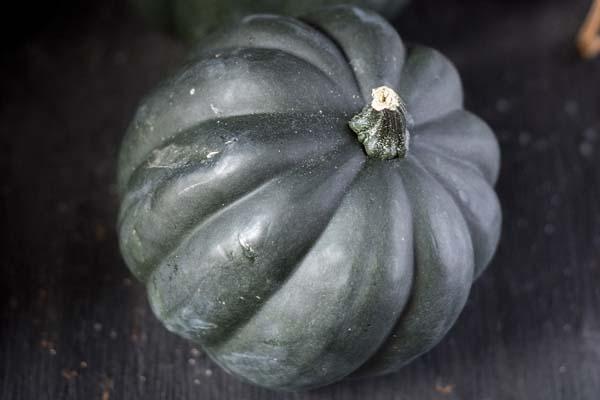 Acorn Squash 'Royal Ace' 3.5"