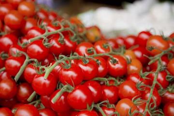 Cherry Tomato 'Supersweet 100' 3.5"