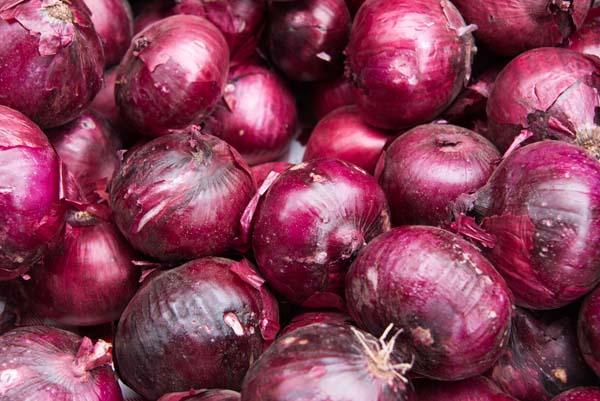 Onion Darknet Market