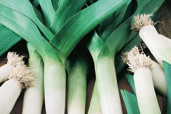 Leek 3.5in