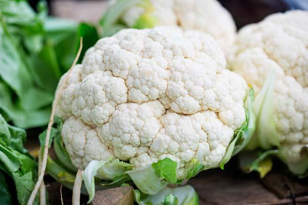 Cauliflower 'Self Blanche' 3.5in