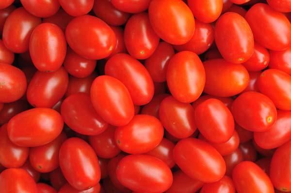 Grape Tomato 'Napa Grape' 3.5"