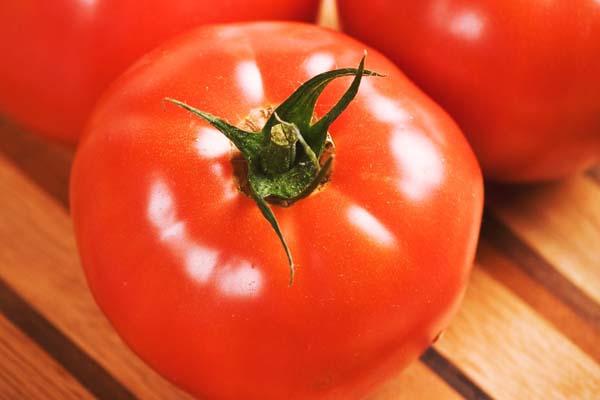 Tomato 'Celebrity' 12" with Cage