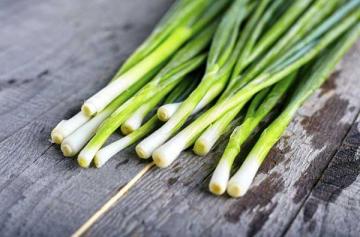 Chives 'Purly' 3.5 Inch