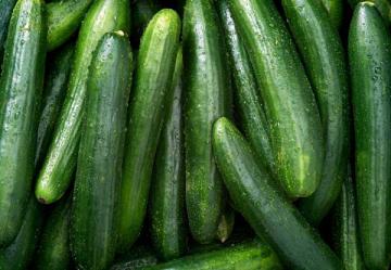 Cucumber 'Straight Eight' 3.5"