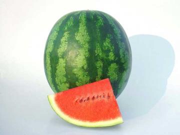 Watermelon 'Shiny Boy' 3.5"