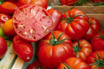 Tomato 'Beefsteak', Grafted 12" w/cage