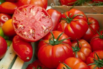 Tomato 'Beefsteak', Grafted 12" w/cage