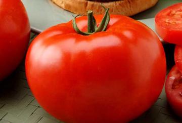 Tomato 'Big Beef', Grafted 12" w/cage