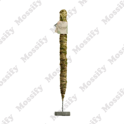 The Bendable Moss Pole&trade; 30in