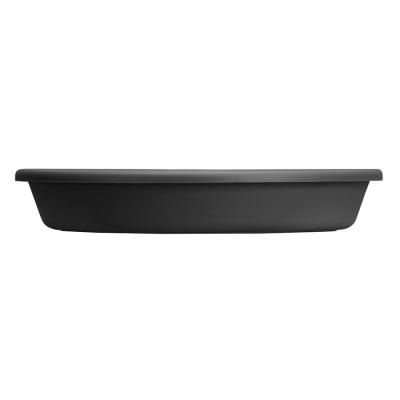 Saucer 6" Black