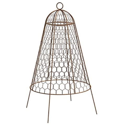 Rustic Wire Garden Cloche 20" x 14"