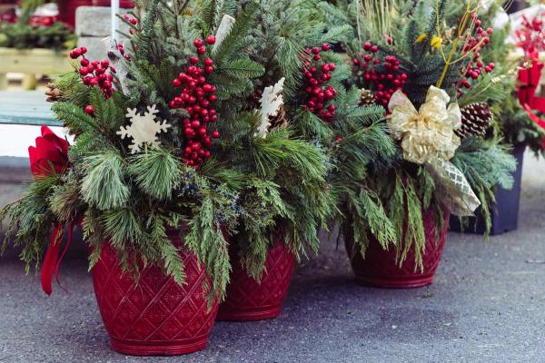 Winter Combo Extra Large Round Planter