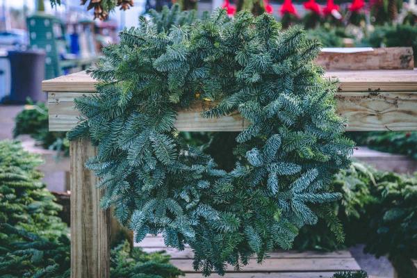 Noble Fir Wreath 22in