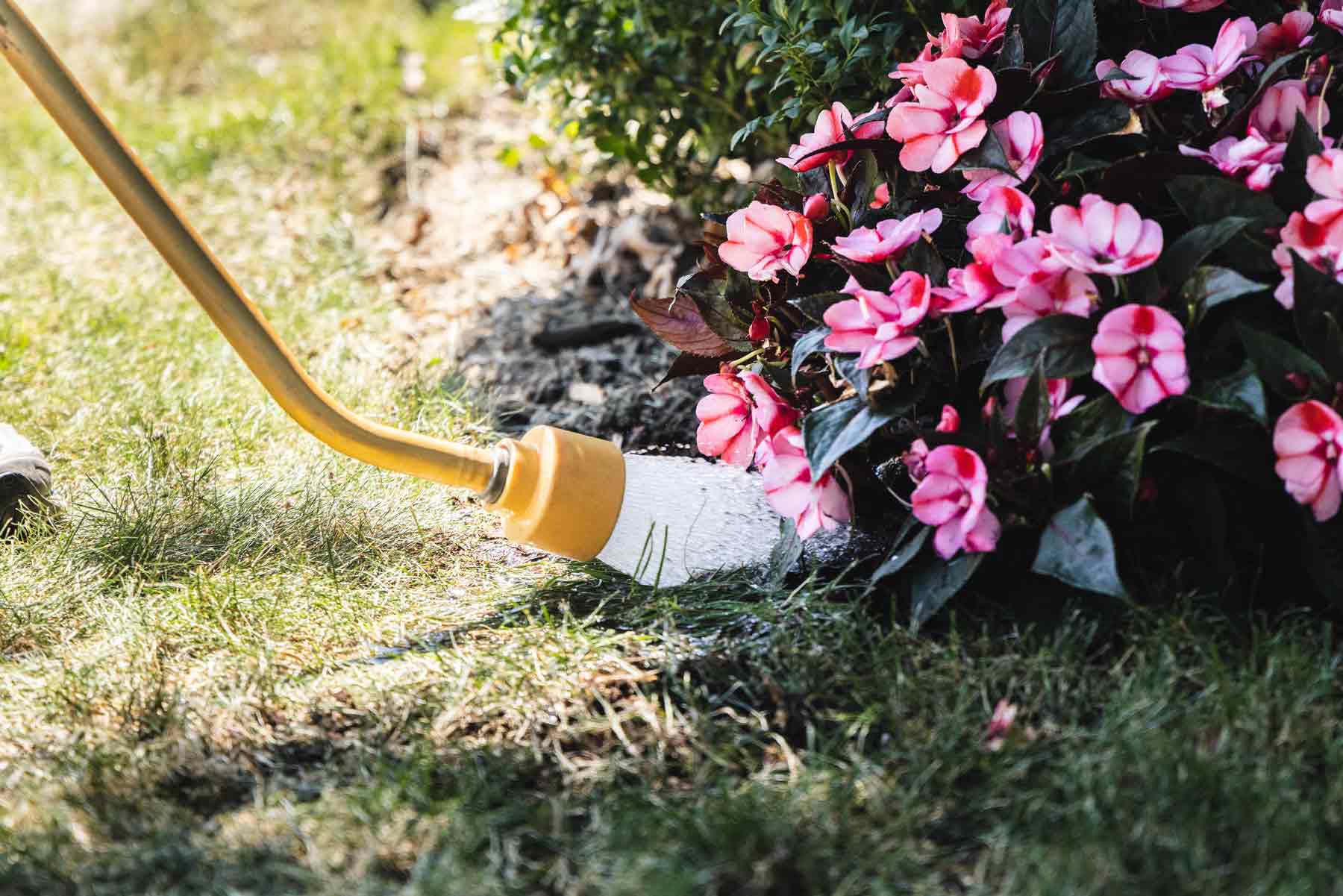 Watering Tools