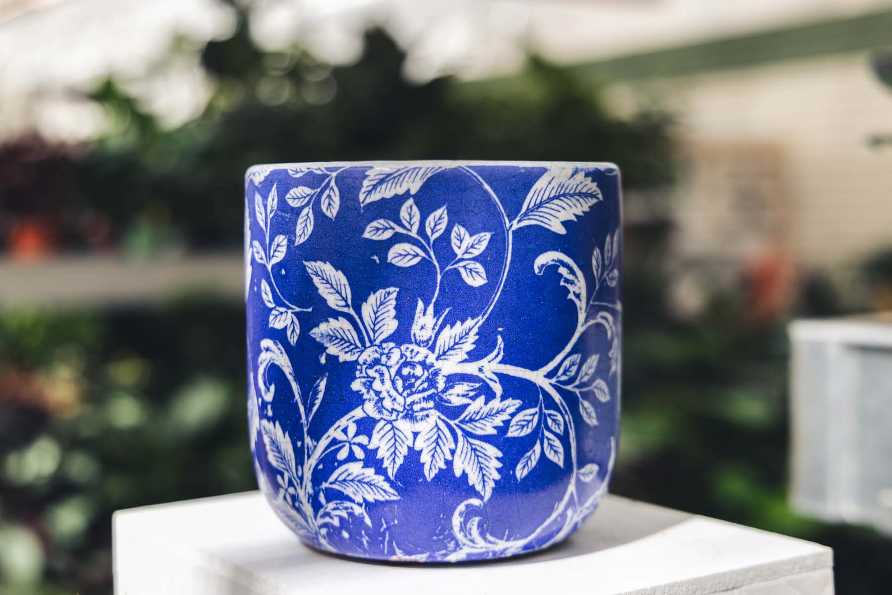 6" Blue Rose Branch Cache Pot